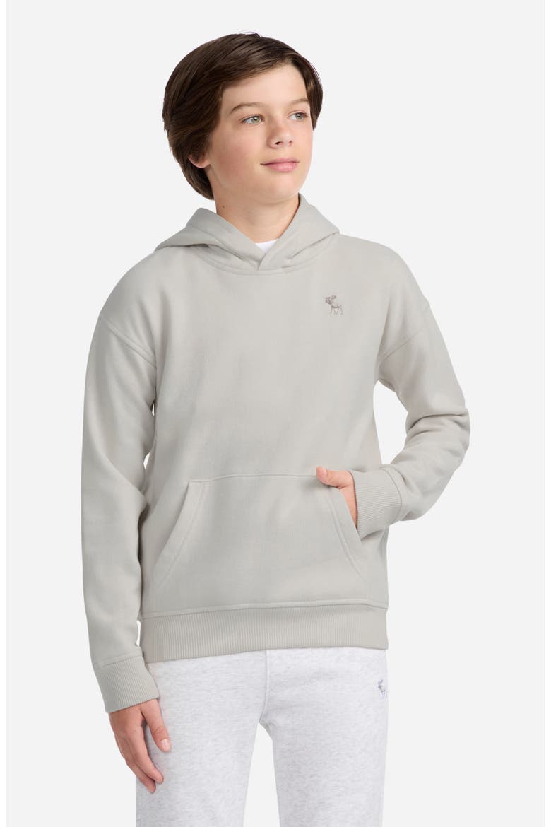 Kids' Essentials Fleece Hoodie, Alternate, color, PUMICE STONE
