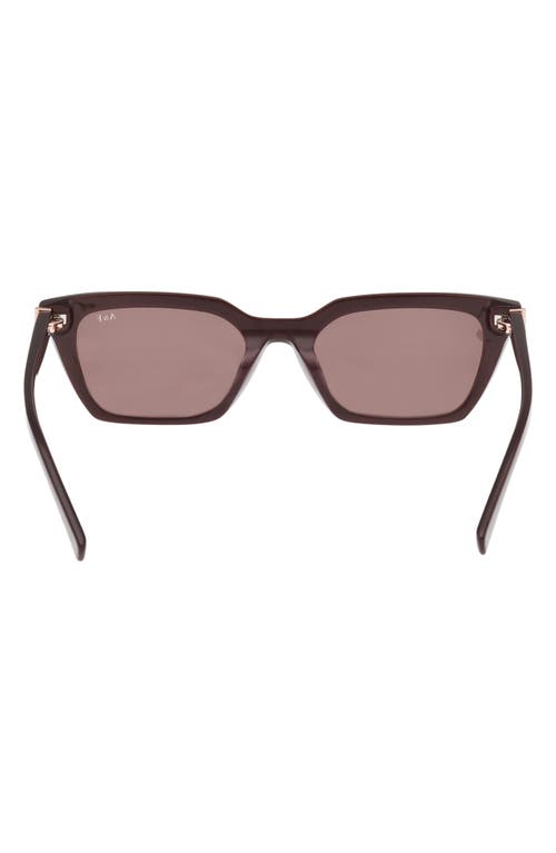 Abercrombie & Fitch 52mm Cat Eye Sunglasses In Brown