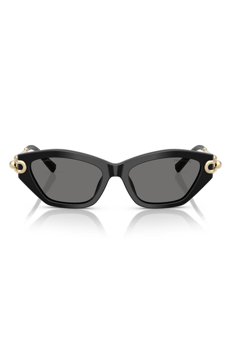 Tiffany & Co. 53mm Polarized Cat Eye Sunglasses, Main, color, Black / Dark Grey Polar
