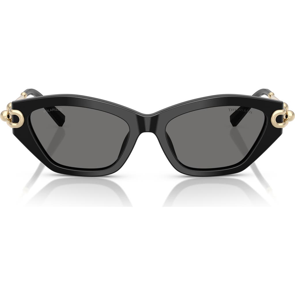 TIFFANY & CO TIFFANY & CO. 53MM POLARIZED CAT EYE SUNGLASSES