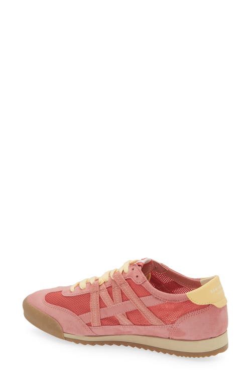 Shop Sam Edelman Irma Low Top Sneaker In Summer Rose/pink Lily