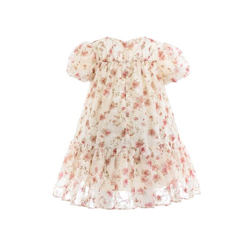 Sweet Cactus Vienna Floral Dress In Pink