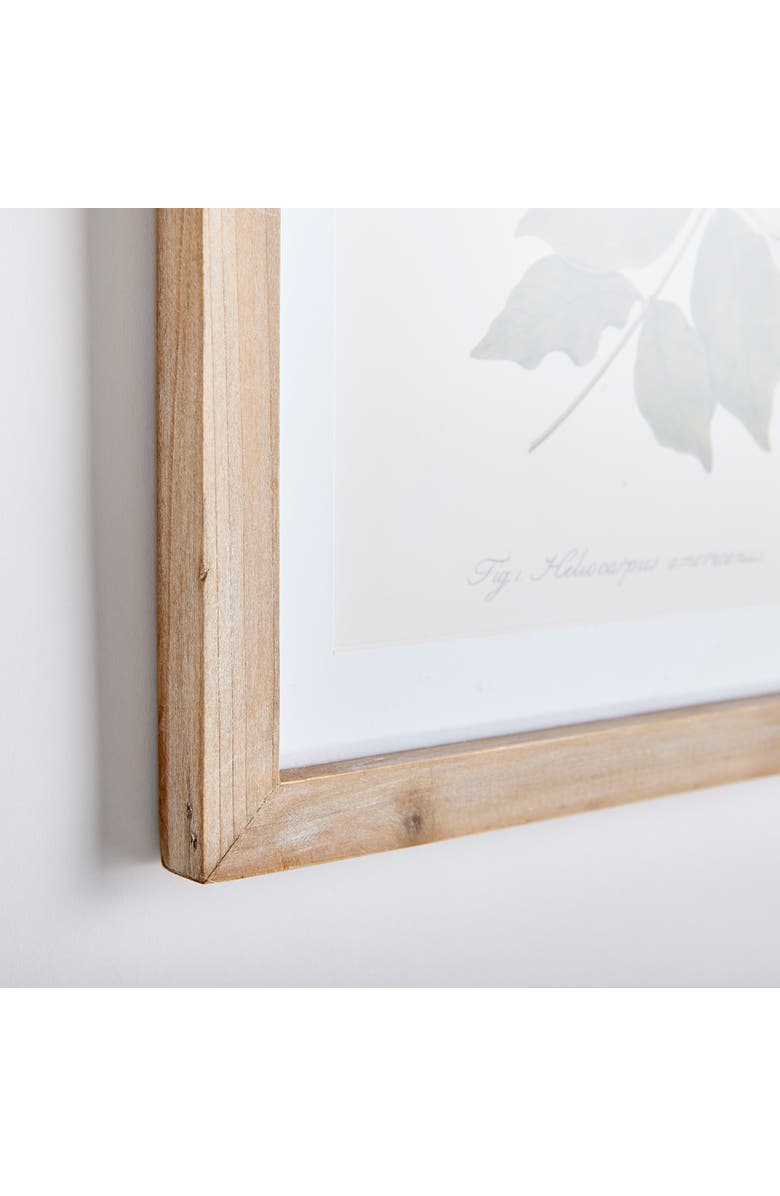 Napa Home & Garden Flora And Fauna Gallery Prints Framed Wall Art Set of 8, Alternate, color, 