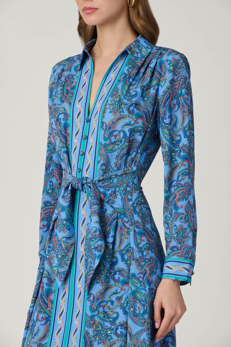 Adair Pelotas Border Paisley Dress, Alternate, color, Blue Multi