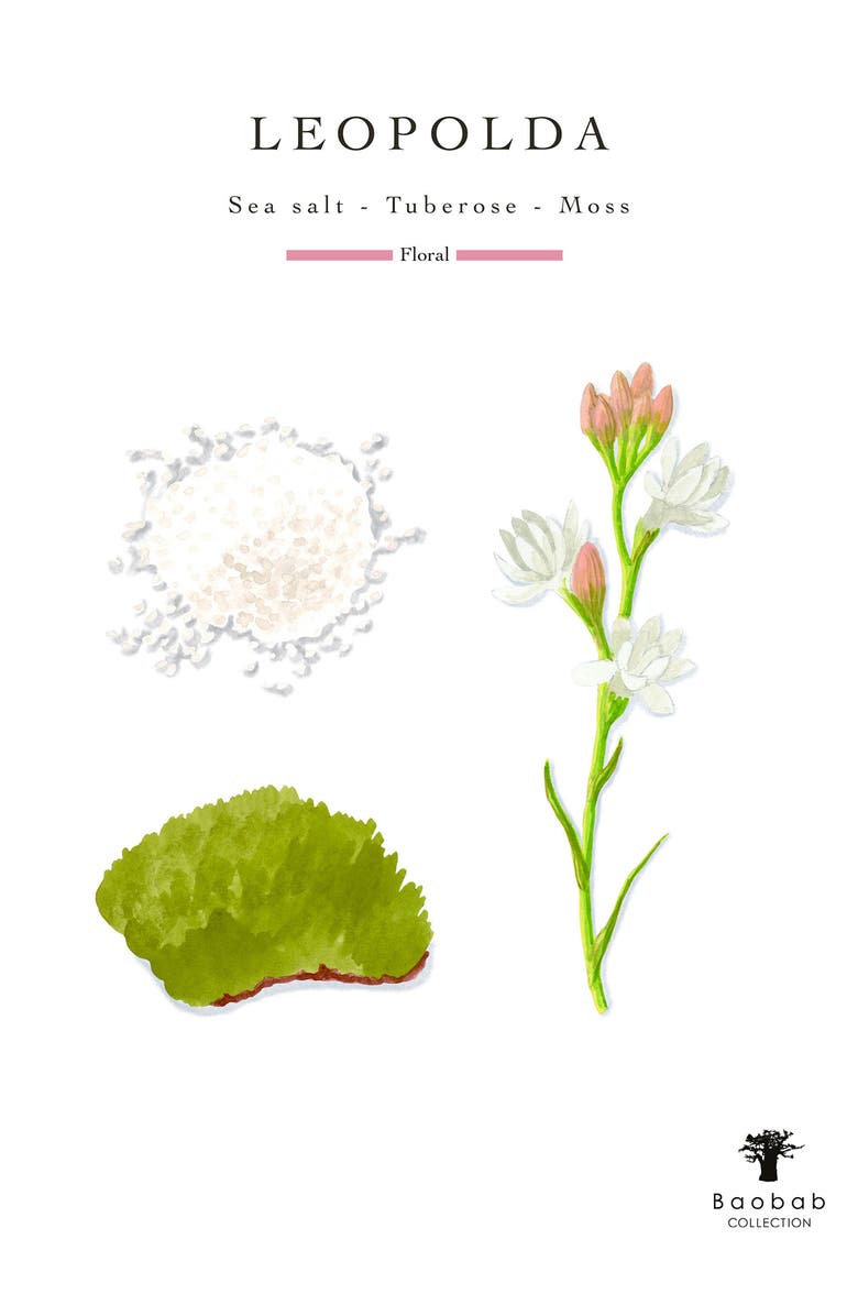 Baobab Collection Riviera Leopolda Scented Candle, Alternate, color, Blue Multi