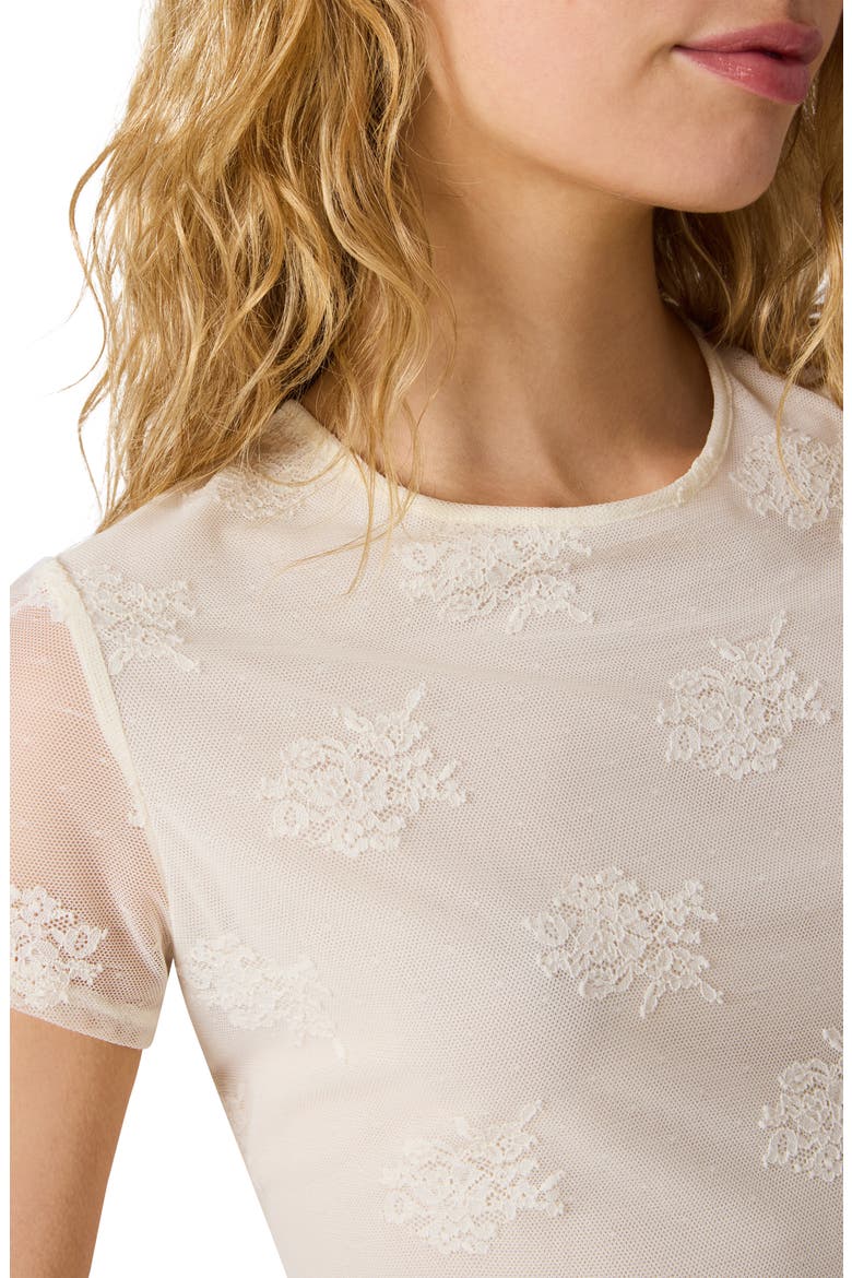 Peyton Mesh & Lace Top, Alternate, color, ANTIQUE