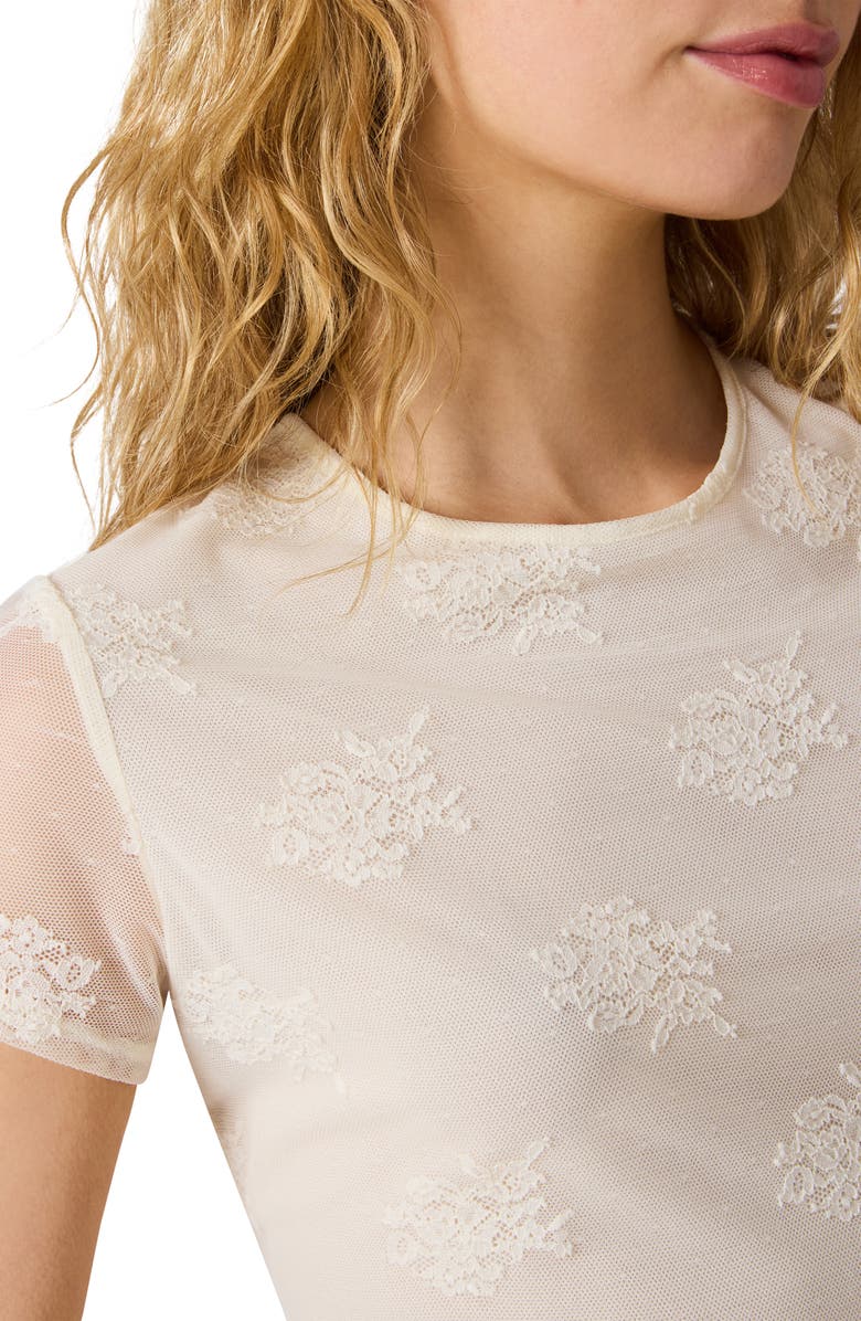 Steve Madden Peyton Mesh & Lace Top, Alternate, color, Antique