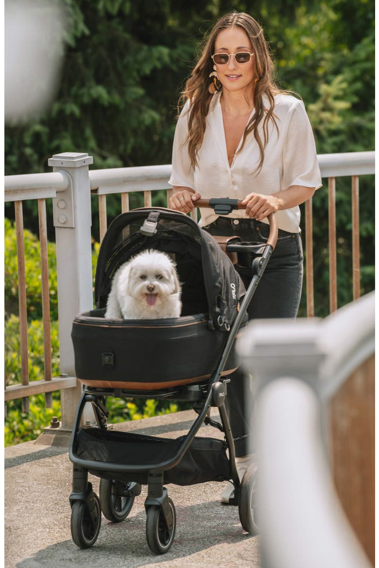 Maeve™ Medium Flex 3-in-1 Pet Car Seat & Stroller, Alternate, color, SABLE