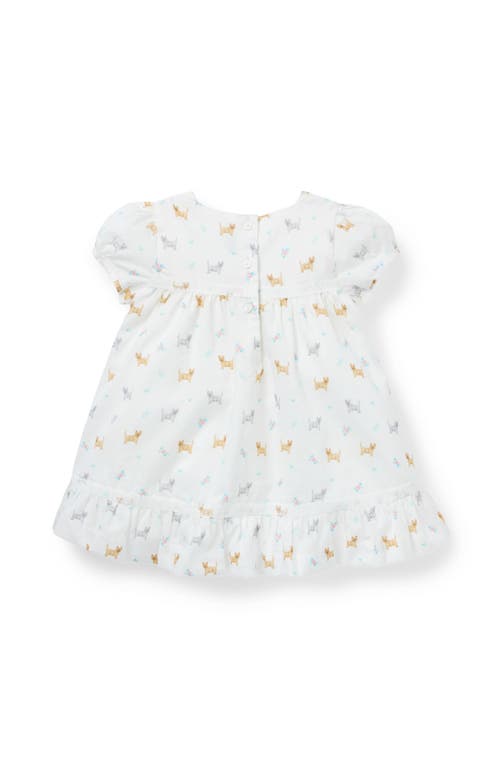 Janie And Jack Baby Dog Friends Lace Trim Dress In White