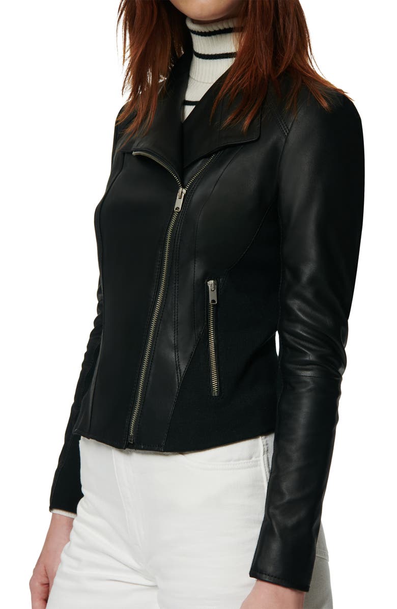 Andrew Marc Marc New York by Andrew Marc Felix Stand Collar Leather Jacket, Alternate, color, 