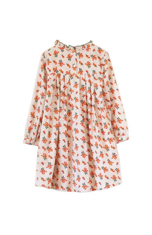 Beet World Little Kid Myrtle Pleated Dress