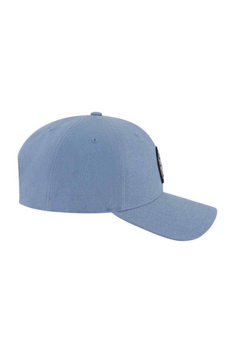 Tree Logo 2.0 Snapback Cap, Alternate, color, LIGHT BLUE