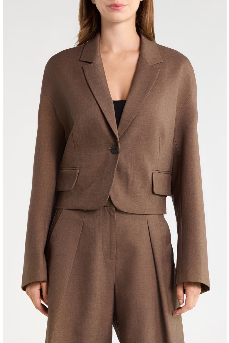 Cropped Blazer, Alternate, color, DARK BROWN
