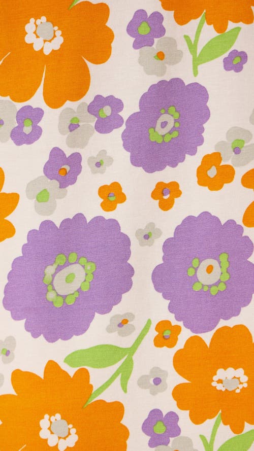 The Cat's Pajamas Pima Knit Pullover Set In Multi