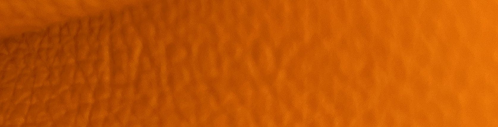 Pre-Owned Goyard Saigon Top Handle Bag Coated Canvas with Leather Mini, Alternate, color, Brown