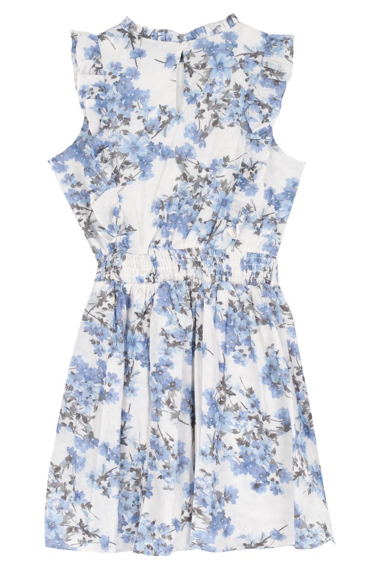 Kids' Floral Dobby Dress, Alternate, color, BLUE