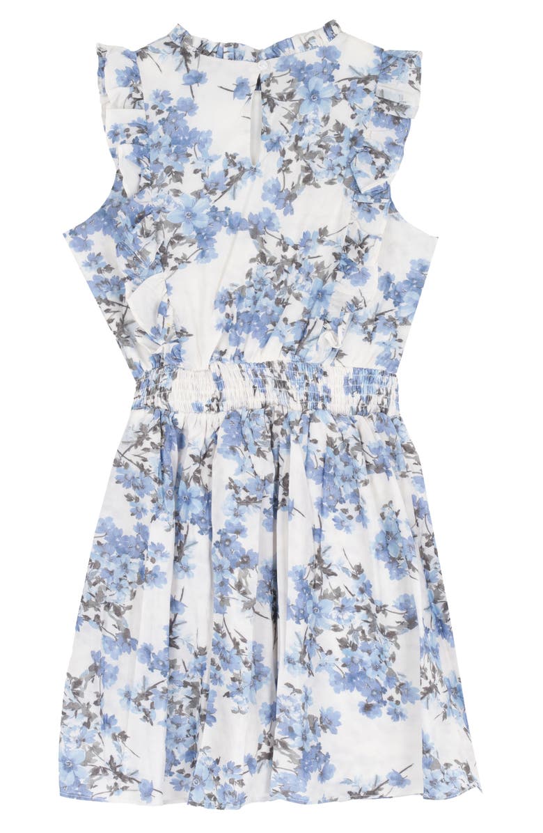 Rare Editions Kids' Floral Dobby Dress, Alternate, color, Blue