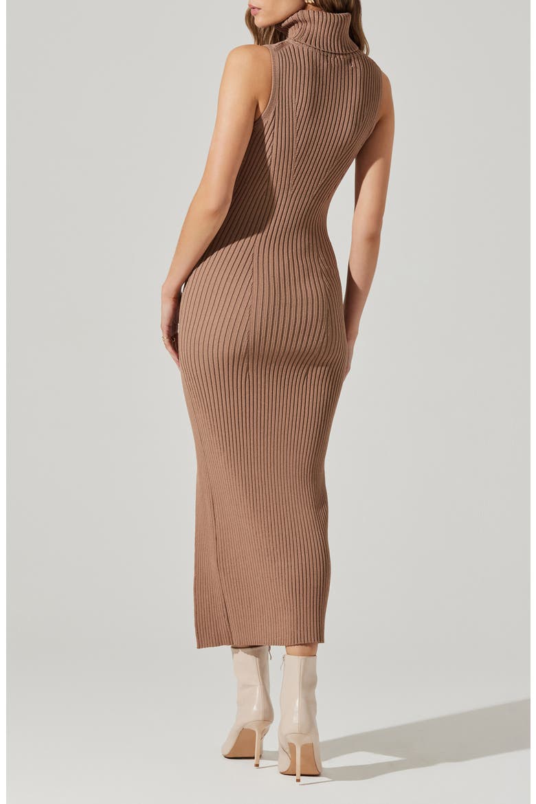 Channary Rib Midi Sweater Dress, Alternate, color, CHESTNUT