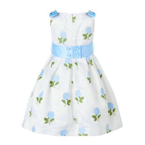 Rachel Riley Rose Embroidered Organza Dress In Blue