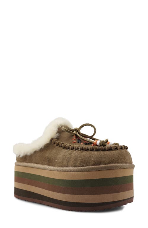 Zigi Birdy Faux Shearling Platform Slipper In Taupe Suede