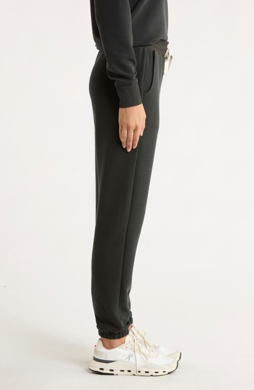 Free Fly Waffle Knit Joggers In Black