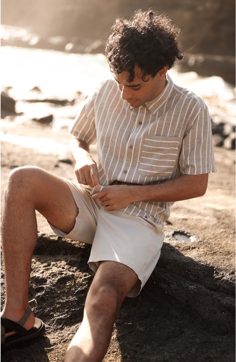 tentree Dundas Shirt, Alternate, color, Clay/Wide Pinstripe