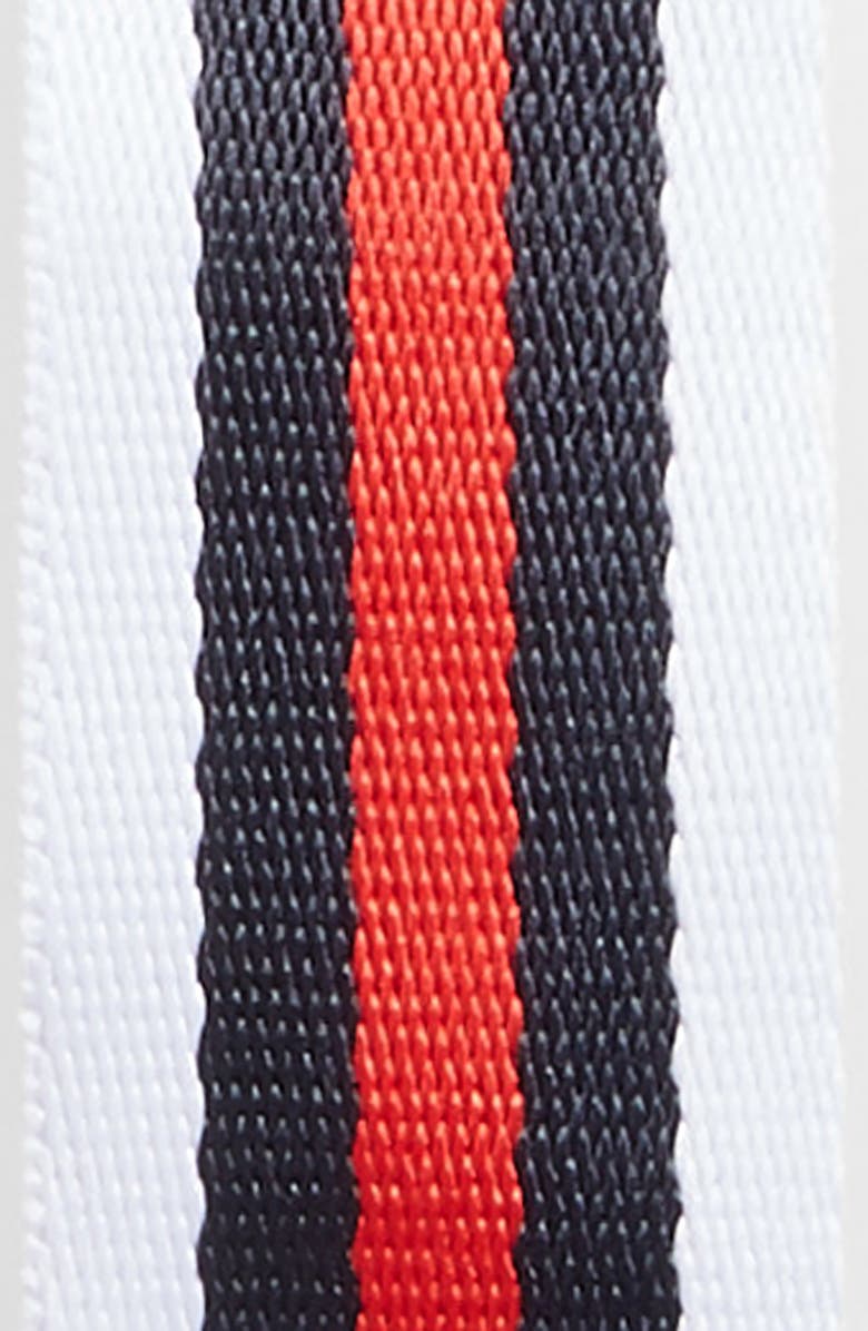 Tasha Five Stripe Belt, Alternate, color, 