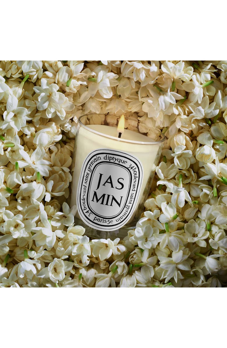 Diptyque Jasmin (Jasmine) Scented Candle, Alternate, color,