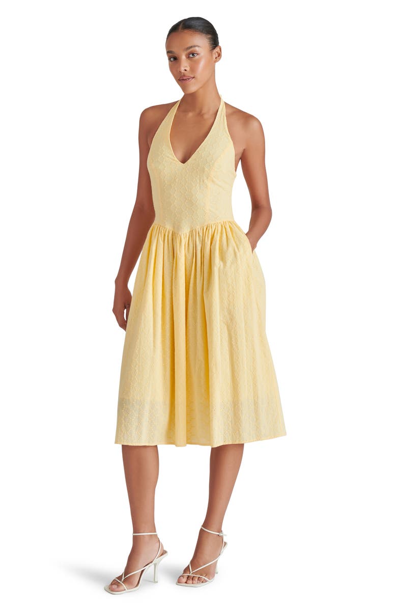 Steve Madden Ressi Eyelet Embroidered Cotton Halter Dress, Alternate, color, Golden Glow