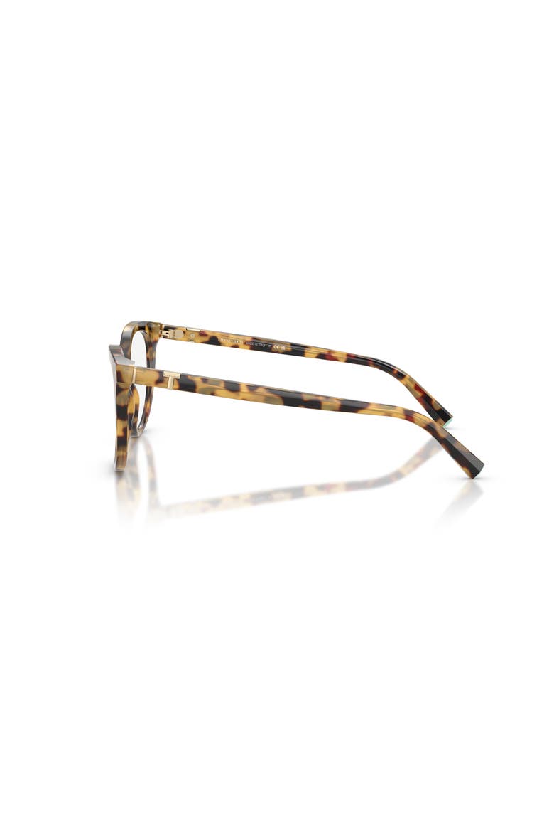53mm Cat Eye optical glasses, Alternate, color, Tortoise