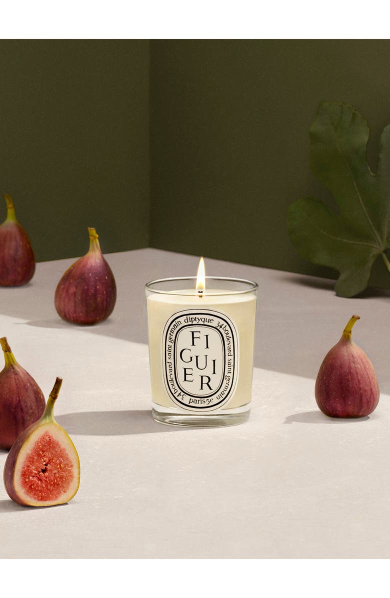 Figuier (Fig) Scented Candle