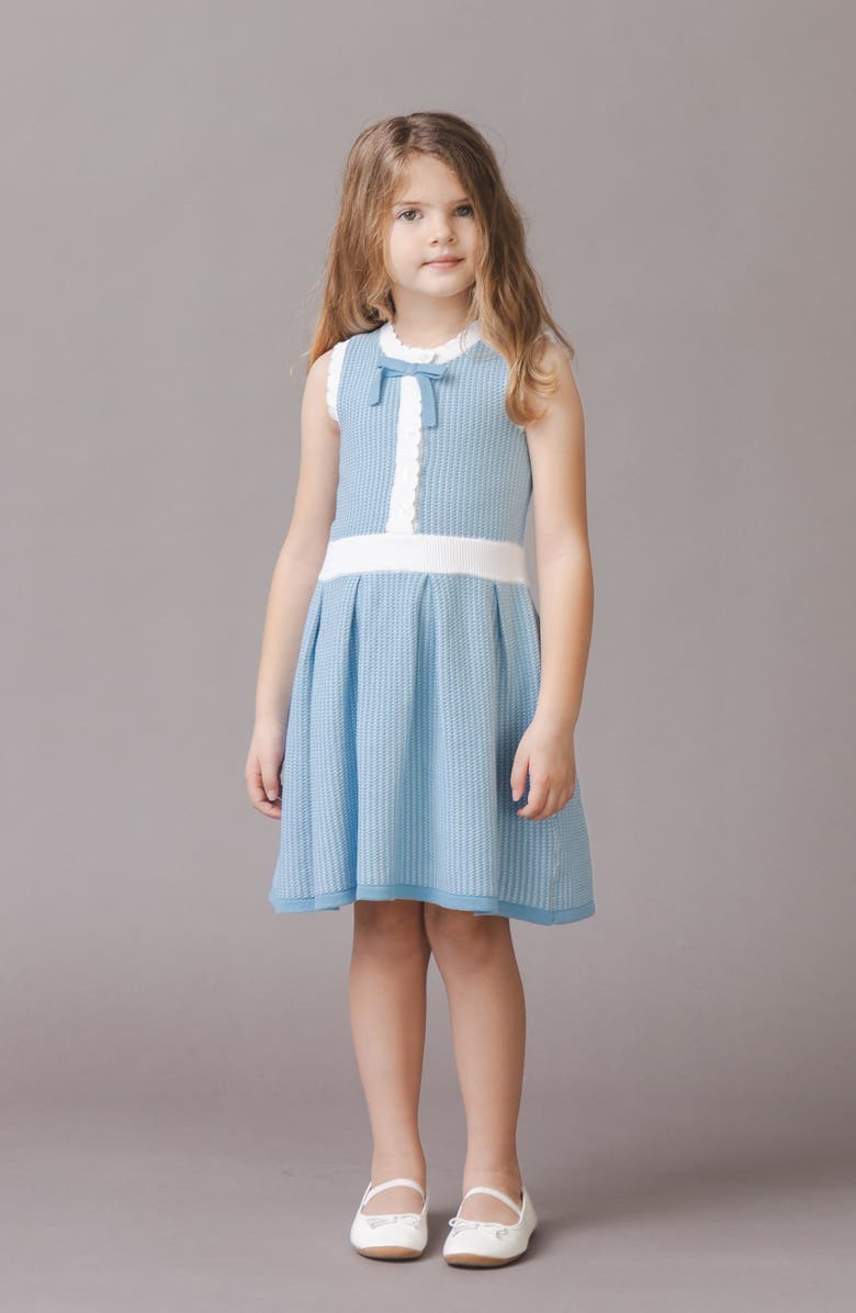 Hope & Henry Kids' Organic Button Front Tank Sweater Dress, Alternate, color, Bluebell