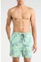  Summer Green