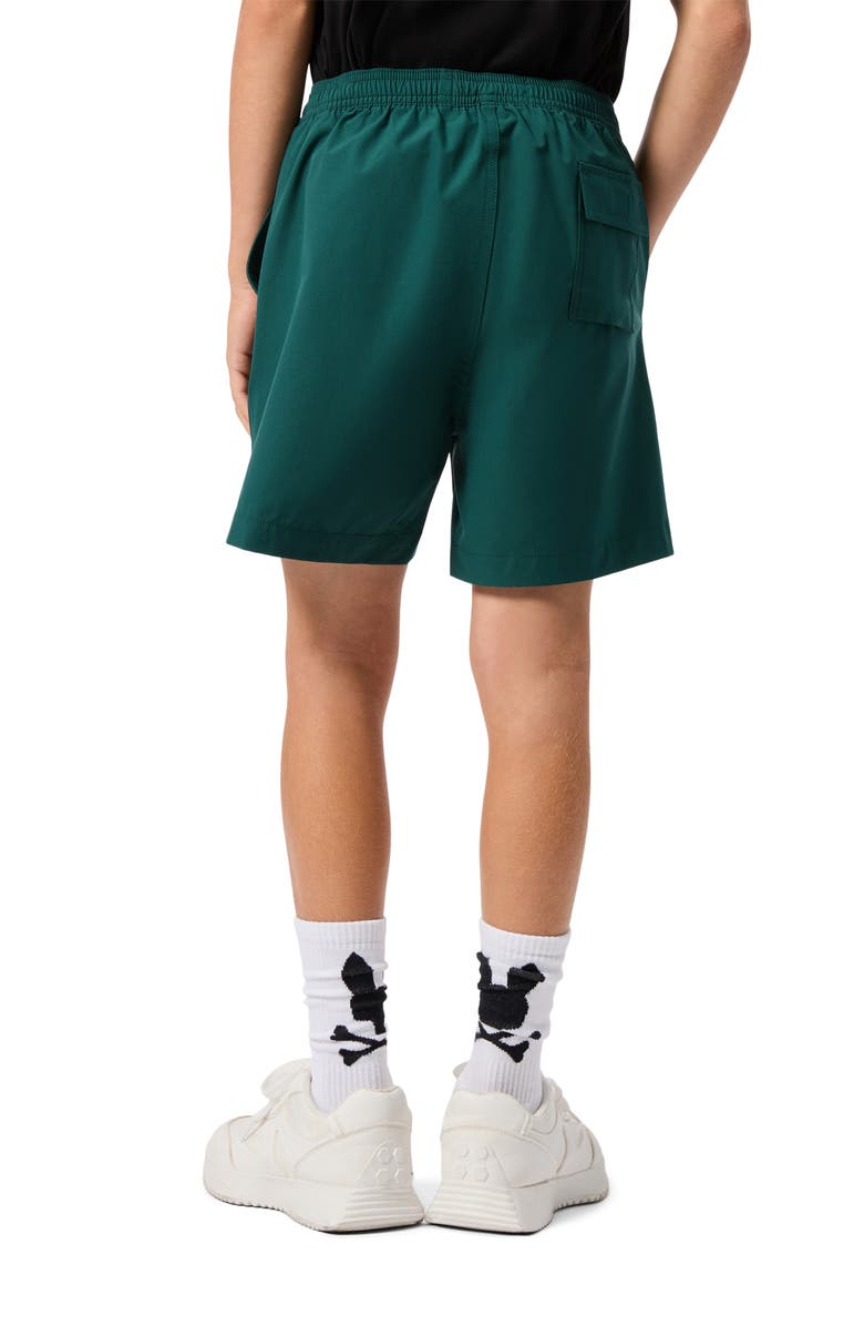 Psycho Bunny Kids' Palmview Hydrochromic Swim Trunks, Alternate, color, Sea Moss