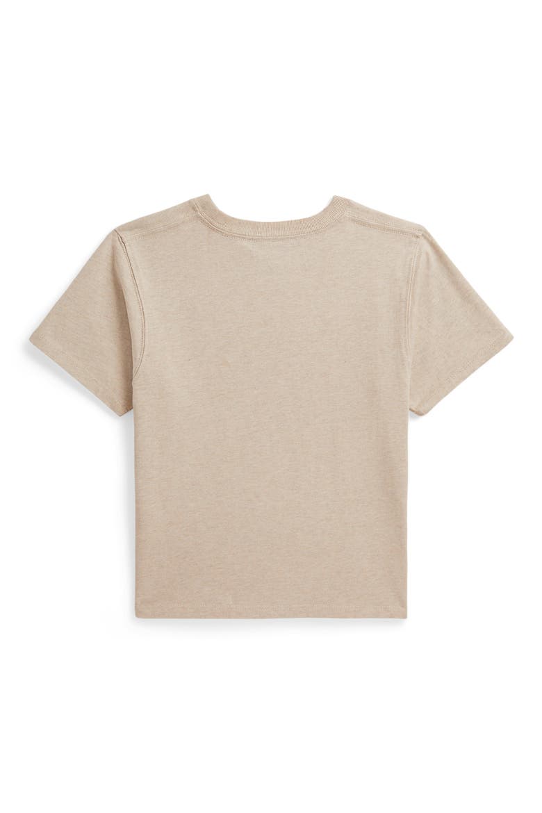 Kids' Embroidered American Flag Cotton T-Shirt, Alternate, color, DUNE TAN
