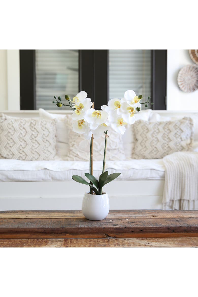 26-in Artificial Double Orchid Phalaenopsis with Decorative Vase, Alternate, color, White