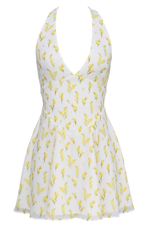 House Of Cb Iris Floral Halter Minidress In White