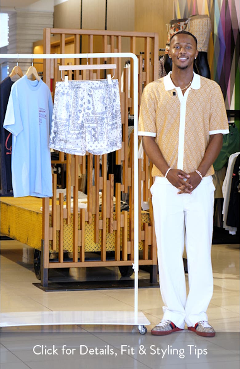 Aaron Print Mesh Shorts, sales video thumbnail