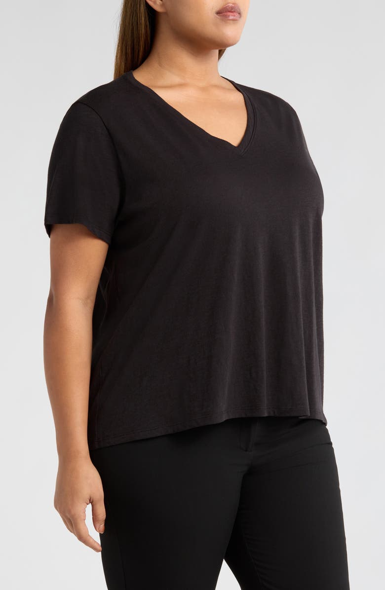 Eileen Fisher Easy V-Neck Organic Cotton T-Shirt, Alternate, color, Black