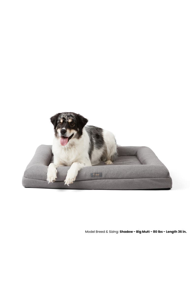 Orthopedic Dog Bed, Alternate, color, Gray