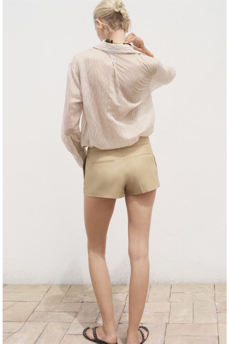 Stripe Sheer Long-Sleeve Button-Up Shirt, Alternate, color, BROWN