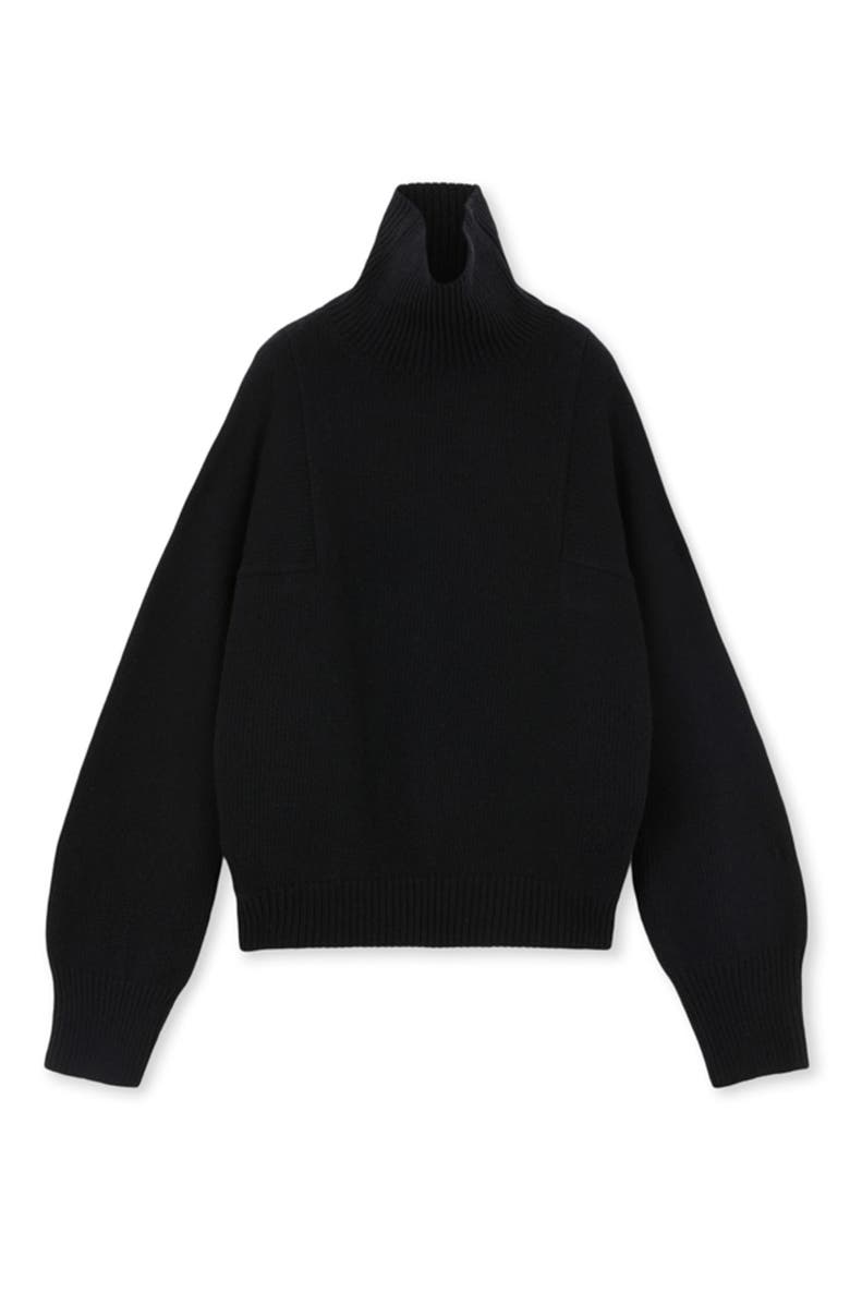 Fortela Lucy High Neck Sweater, Main, color, Black