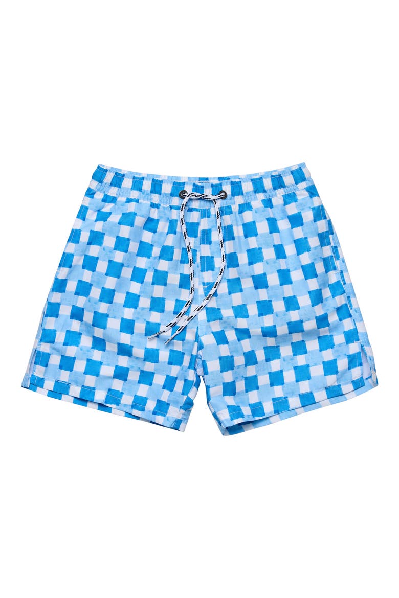 Kids' Ocean Grid Swim Trunks, Main, color, BLUE