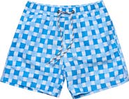 Snapper Rock Kids' Ocean Grid Swim Trunks
