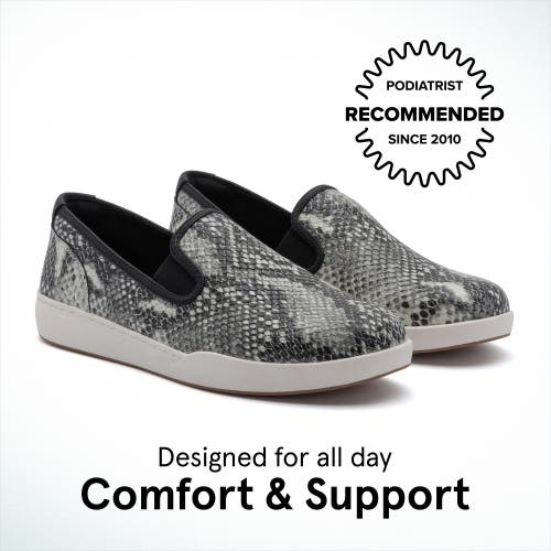 Abeo Encore Slip On In Snake Print - Regular