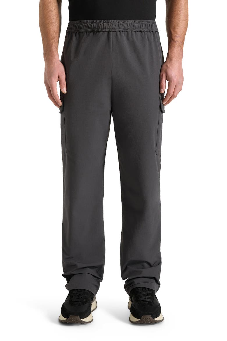 Rayan Technical Cargo Trousers, Alternate, color, Grey