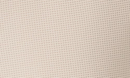 Splendid Tie Waist Waffle Stitch Scuba Joggers In Moonstone