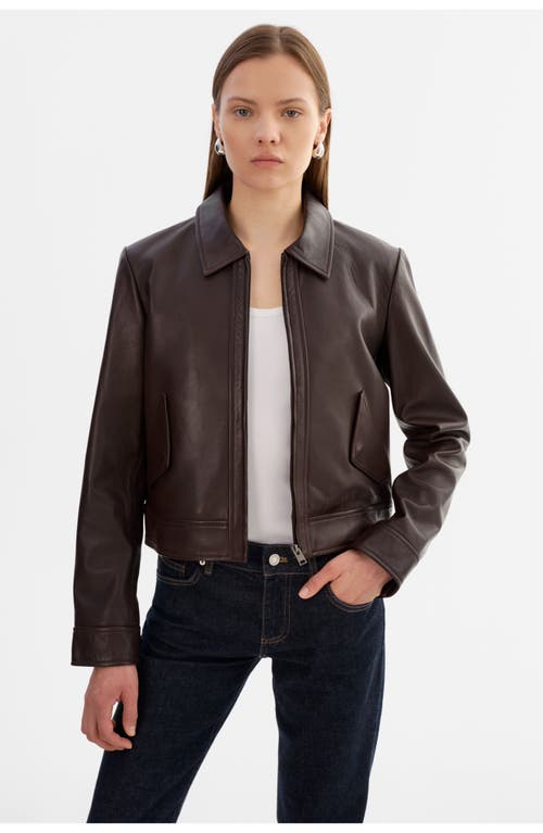 Lamarque Tess | Leather Jacket In Brown