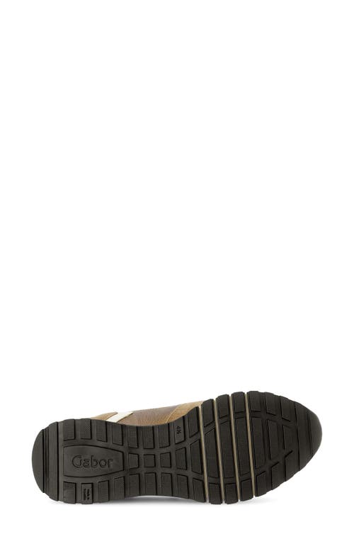 Gabor 56.378 Zip Sneaker In Multi
