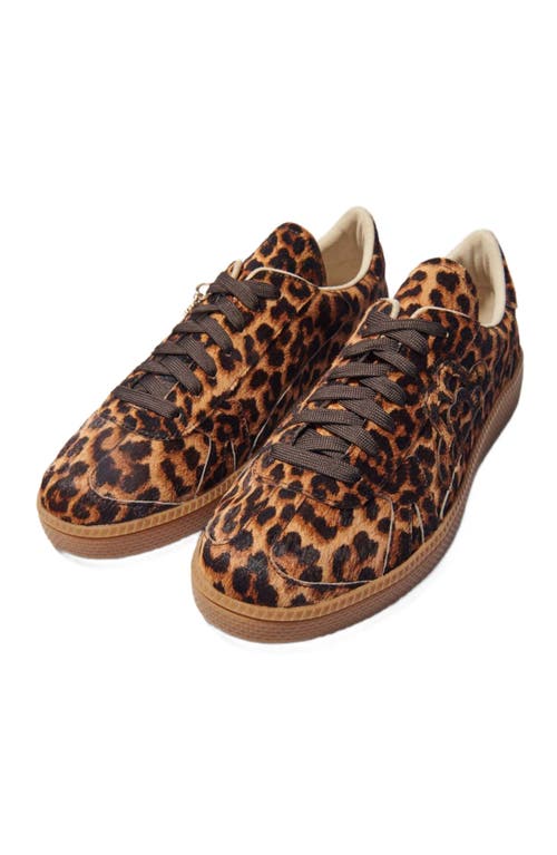 Maje Leopard Print Leather Trainers In Leopard Print